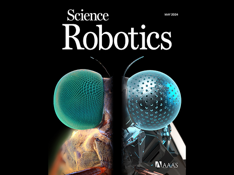 hkust_develops_groundbreaking_artificial_compound_eye_to_revolutionize_robotic_vision_at_lower_cost_but_higher_sensitivity.png